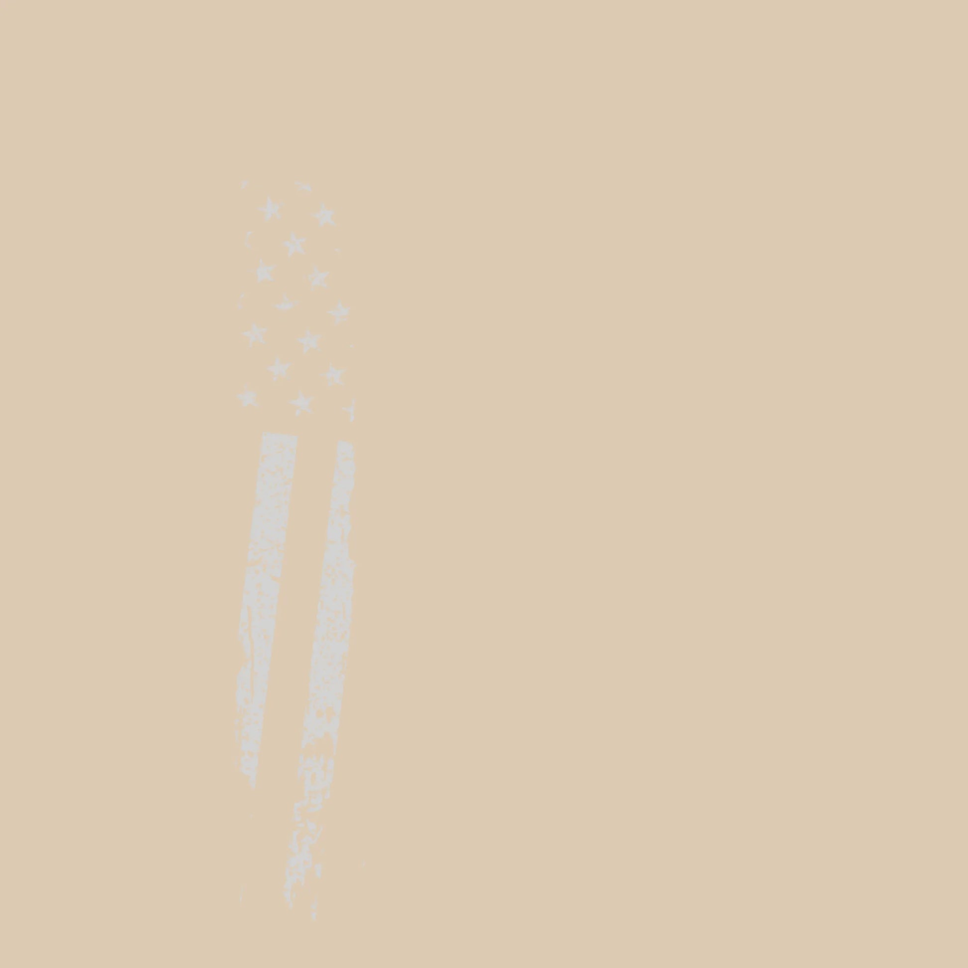 US Flag Monochromatic T-shirt