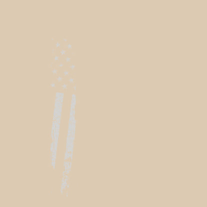 US Flag Monochromatic T-shirt